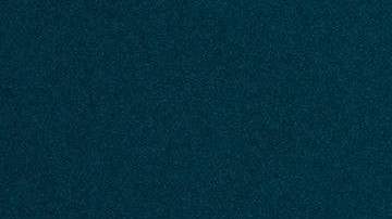 Ballena orca nadando/Archivo.