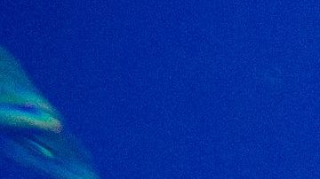 El tiburón alcanzó el dedo del pescador y aparentemente se lo arrancó.