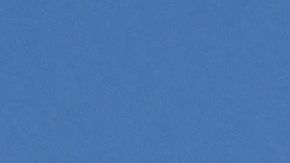 Una clienta captó el gracioso momento en el que el sobrecargo comenzó a bailar.