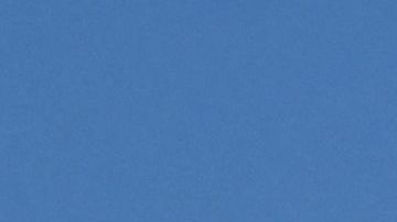 Una clienta captó el gracioso momento en el que el sobrecargo comenzó a bailar.