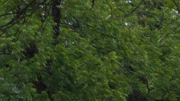 US-SCHOOL-CRIME-TEXAS