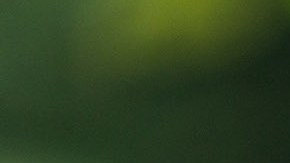 El representante Adriano Espaillat, del Distrito 13 en Nueva York.