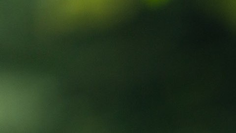 El representante Adriano Espaillat, del Distrito 13 en Nueva York.