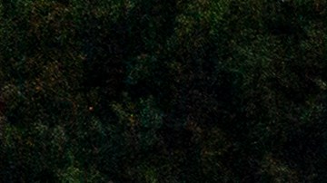 At Least 40 Migrants Found Dead In Truck In San Antonio