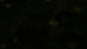 Rusia de secuestrar unos 200.000 niños ucranianos