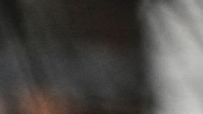 Indocumentados muertos en trailer en Texas