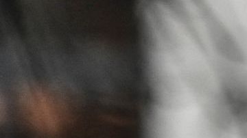 Indocumentados muertos en trailer en Texas