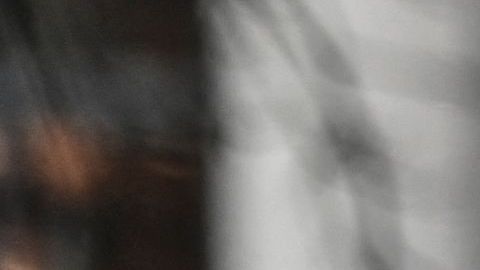 Indocumentados muertos en trailer en Texas