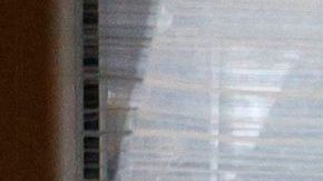 Wanda despertó tras dos años de vivir en coma.