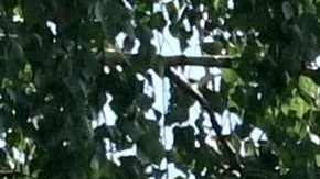 Según Rusia, Ucrania bombardeó Donetsk.