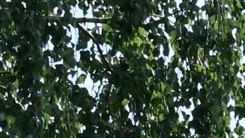 Según Rusia, Ucrania bombardeó Donetsk.