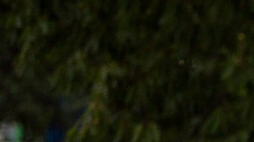 Videos muestran el terror del tiroteo en desfile del 4 de Julio en Highland Park, Illinois