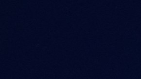 Joey Chestnut durante la competencia de Hot Dogs de Nathan's en la que consiguió su título número 15.