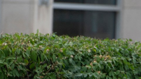 Kevin McCarthy murió protegiendo a su hijo en Highland Park.