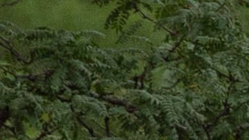 El tirador del desfile del 4 de julio de Highland Park permaneció prófugo horas después del ataque del lunes.