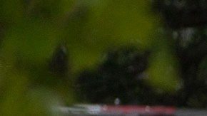 US-HOLIDAY-WEAPONS-POLICE-CRIME