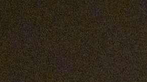 El esqueleto de un Gorgosaurus, con casi 10 pies de alto y 22 pies de largo.