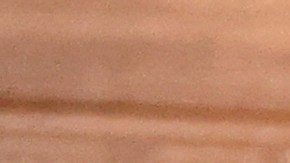 Novak Djokovic exhibe su trofeo que lo acredita como campeón de Wimbledon 2022 a su llegada a Serbia.