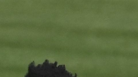 Bayern Múnich