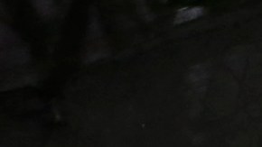 Nueva York quiere cambiar el nombre de la viruela del mono.