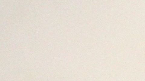 Putin aseguró que su principal amenaza es Estados Unidos.