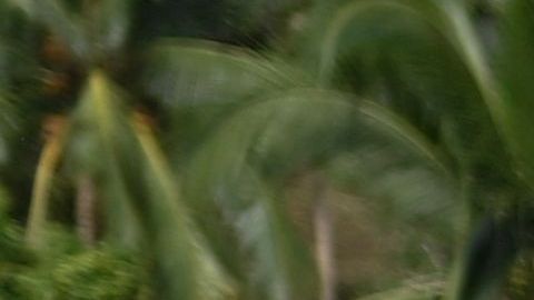 PANAMA-POLITICS-ECONOMY-PROTEST-GASOLINE