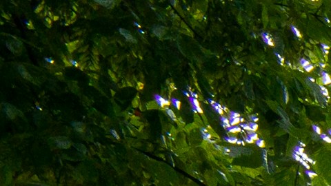 Major Flooding Ravages Eastern Kentucky After Heavy Rains