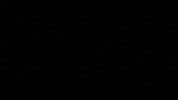 La cantante Shakira habría viajado con sus hijos a Estados Unidos.