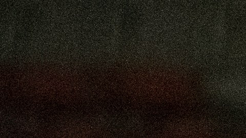 La selección mexicana se quedó sin su director deportivo de selecciones y sin su director general deportivo.