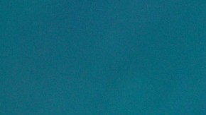 Paris Jackson se mudó a Hollywood Hills