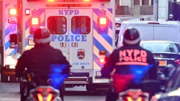 El NYPD investiga la muerte del niño que cayó de un piso 29 en Harlem.