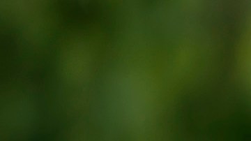 El senador Bernie Sanders defiende la agenda ambiental y ayudas sociales.