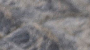 Florida To Give Out 24-Hour Permits During Alligator Hunting Season