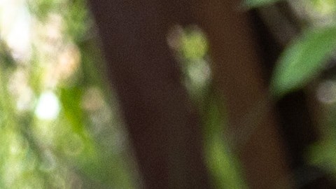 Russian Forces Withdraw From Towns Around Kharkiv