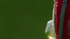 Las autoridades buscan a todos los responsables en el hecho.