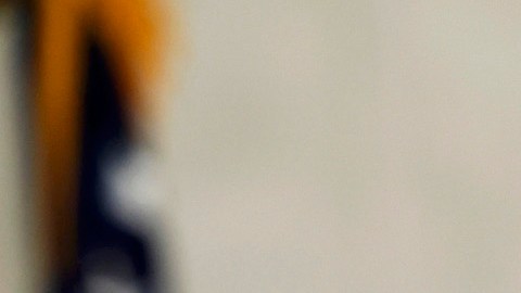 El senador Ted Cruz se expresa en contra del matrimonio gay.