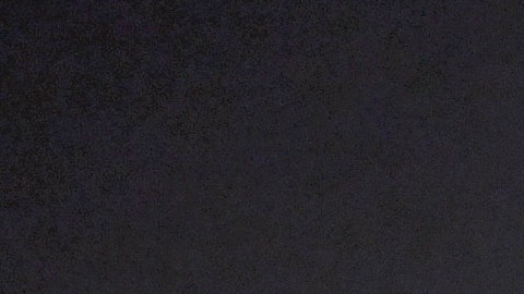 NeNe Leakes ahora es parte de 'College Hill Celebrity Edition'