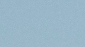 Dave Martínez y Juan Soto