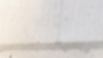 La familia Trump dándole el último adiós a Ivana.