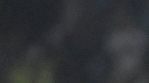 Kevin de Bruyne y Julián Álvarez