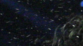 La última pelea entre Márquez y Pacquiao fue el 8 de diciembre de 2012.