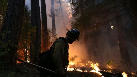 Rim Fire Burns Near Yosemite National Park