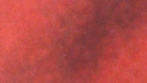 Se cree que el reloj perteneció al líder nazi, Adolfo Hitler.