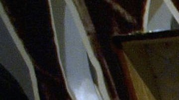 Se trataba de una maleta de equipaje de Louis Vuitton que vale miles de dólares.