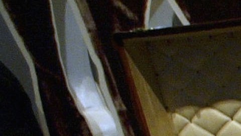 Se trataba de una maleta de equipaje de Louis Vuitton que vale miles de dólares.