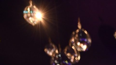 Diana Jenkins se separó de Roger Jenkins en 2011.