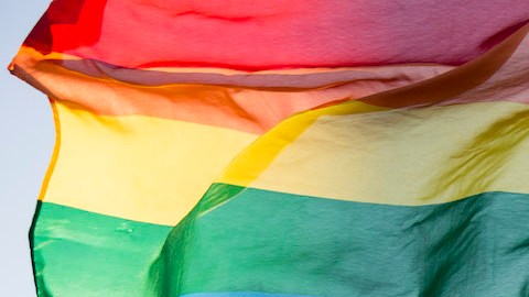 El matrimonio gay fue avalado por la Corte Suprema en 2015, pero podría ser revertido.