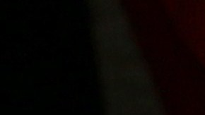 "Princesita", el cocodrilo que se casó con el alcalde.