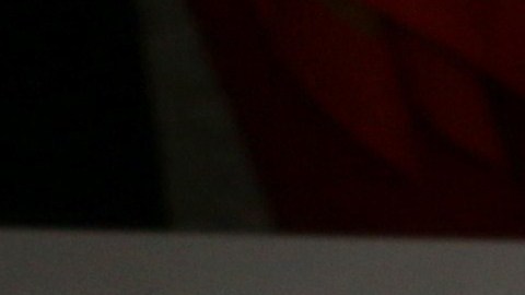 "Princesita", el cocodrilo que se casó con el alcalde.