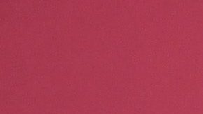 Selena Gómez y Francia Raisa.